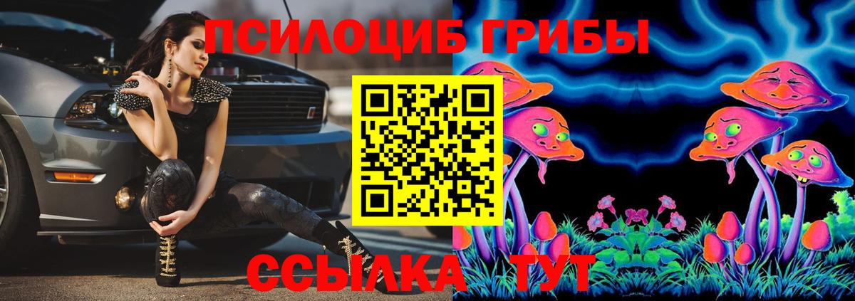 Нальчик  Псилоцибиновые грибы Psilocybine cubensis  Вход с VPN 