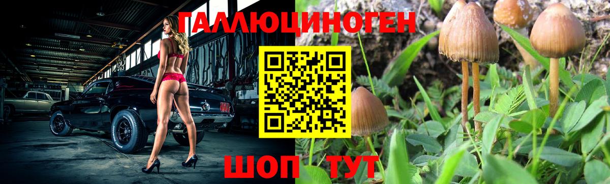 Галлюциногенные грибы Cubensis Нальчик